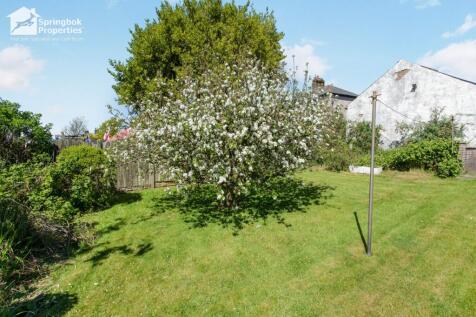 Image 15