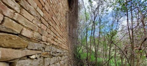 Close-up of the house's stone and brick wall partially obscured by dense green vegetation and bare branches.