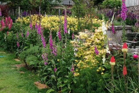 Garden flowers