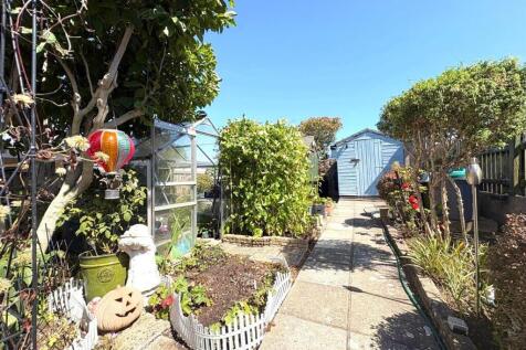 8.jpeg