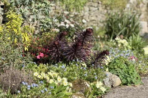 Well Stocked Flower Beds