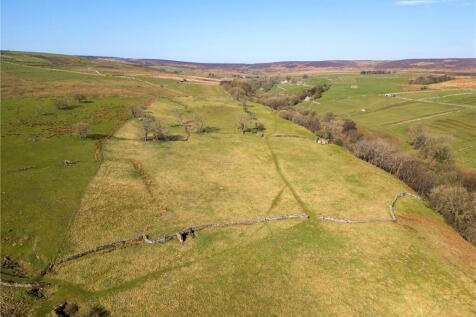 Farm Land for sale Image 5