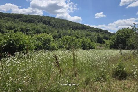Field covered in wildflowers and green bushes, with a forested hill rising behind under a blue sky with scattered clouds.