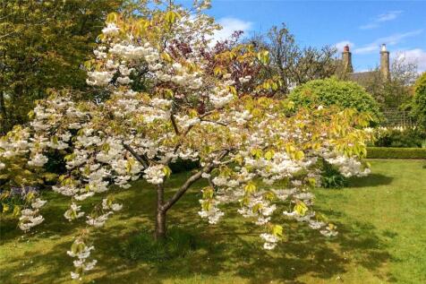Garden In Springtime