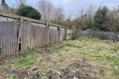 IMG 1573 T202602171111.jpeg