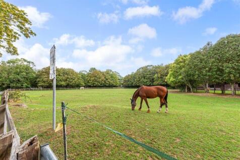 Horse field.jpg