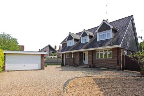 apple trees front.jpg