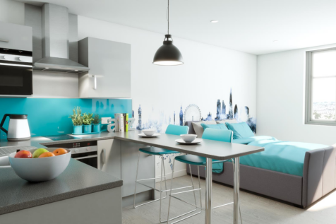 StudioBedroomKitchenLONG.png