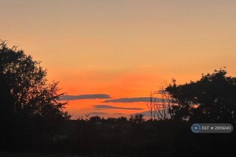 Front Sunset