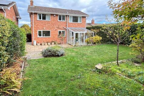 Garden 5