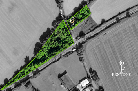 Photographs JF - 2026-09-07T104657.167.png