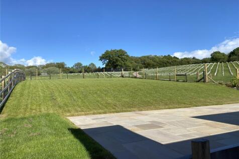 Rear Gardens