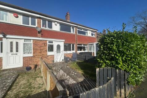 WhatsApp Image 2026-03-03 at 14.44.02 (7).jpeg