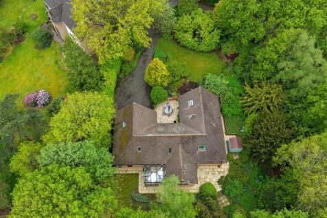 DJI_20260521184602_0164_D.jpg