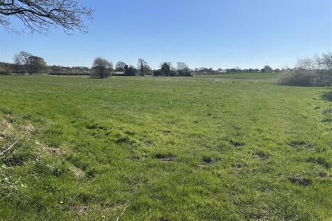 auction land.JPG