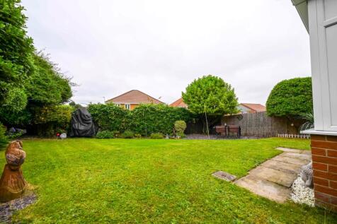 Burley EweMove Skelton-21