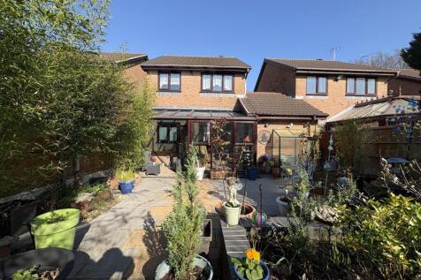Garden Pic 1