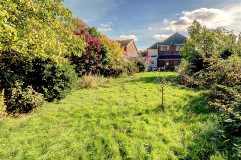 Garden 2.jpg