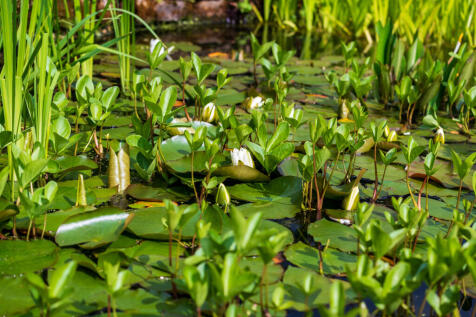 Greystoke House Rothbury-80