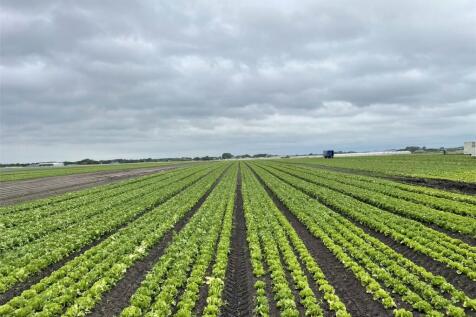Land At Mere Farm