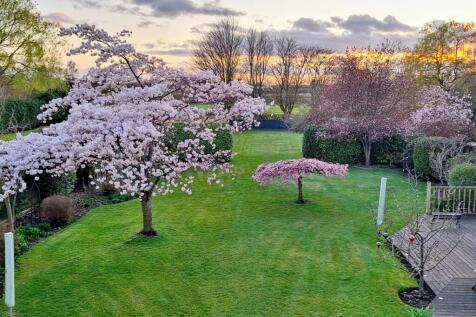 WhatsApp Image 2025-05-28 at 11.26.10_708f0793.jpg