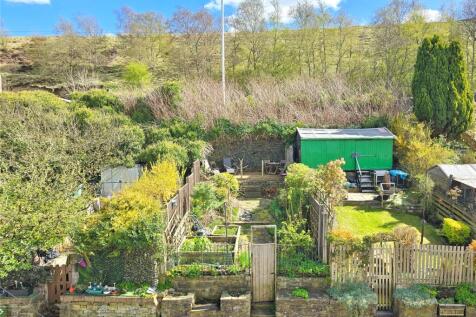 Rear Gardens