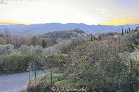 IMG_8716.jpg
