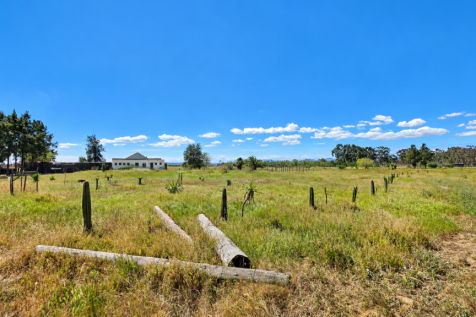 Field