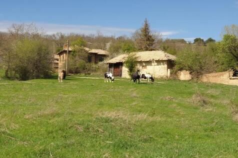 Green field with four horses grazing near old village buildings under a blue sky