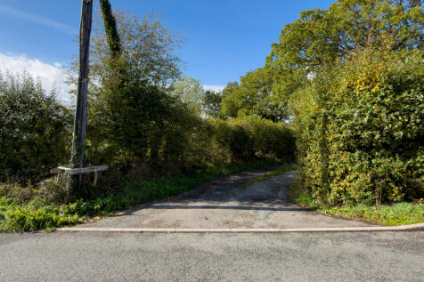 BUCKLEY-5 T202610081440.jpg