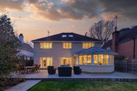 DUSK REAR