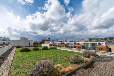 Communal Roof Garden