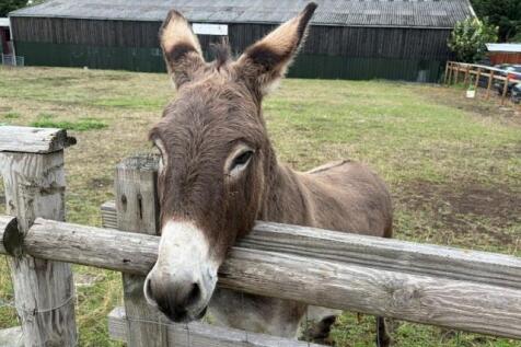 Meet the Neighbour.jpg