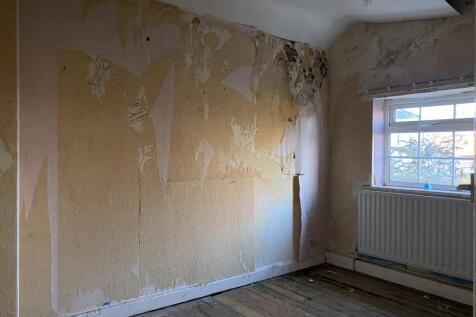 02-12-2025  12-19-03 IMG 4857-min T202512021506.jpeg