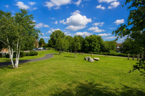 LocalGrounds