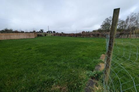 1000036555 T202602271603.jpg