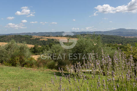 Panorama e Particolari