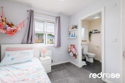 web_16 Old Thorns...