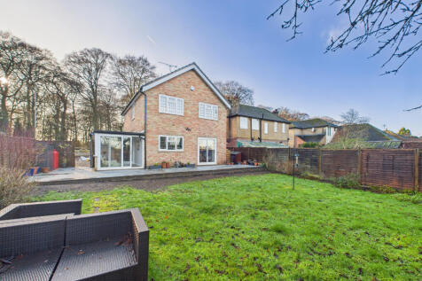 CAM02536G0-PR0029-STILL002