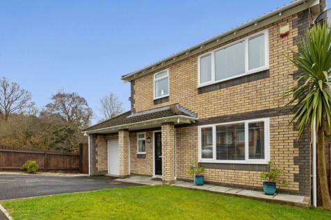 Front Garden &amp; Palm Tre