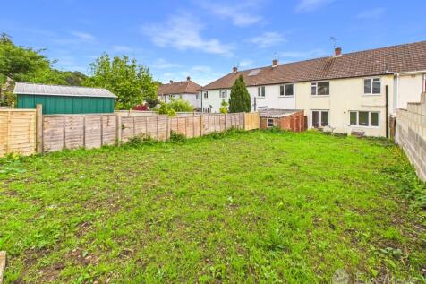 Back Garden