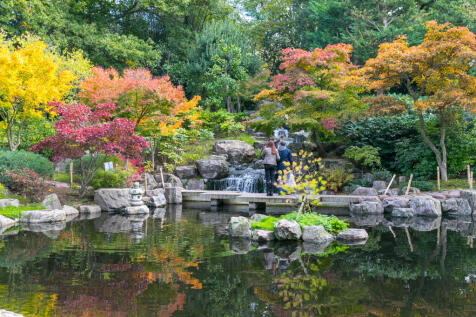 Kyoto Gardens