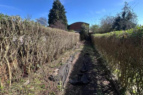 Garden (2).jpeg