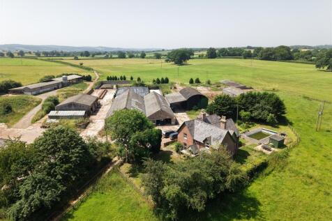 DJI_20260623131140_0527_D.JPG