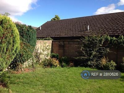 Back Garden 