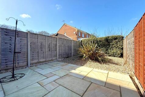 garden 2.jpg