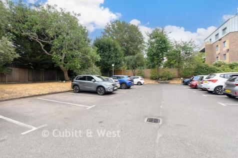 Driveway/Parking