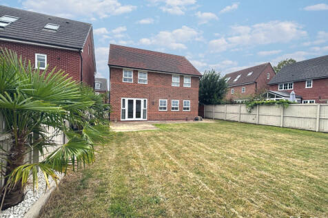 snapedit_17565593...