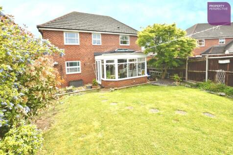 pbox-IMG.jpg