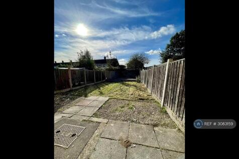 Back Garden